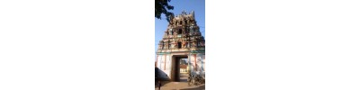 094. திருதென்குரங்காடுதுறை